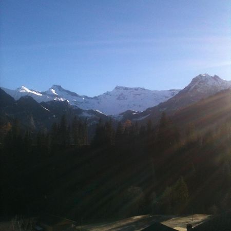 Oeystrasse 10A Apartment Adelboden Exterior foto