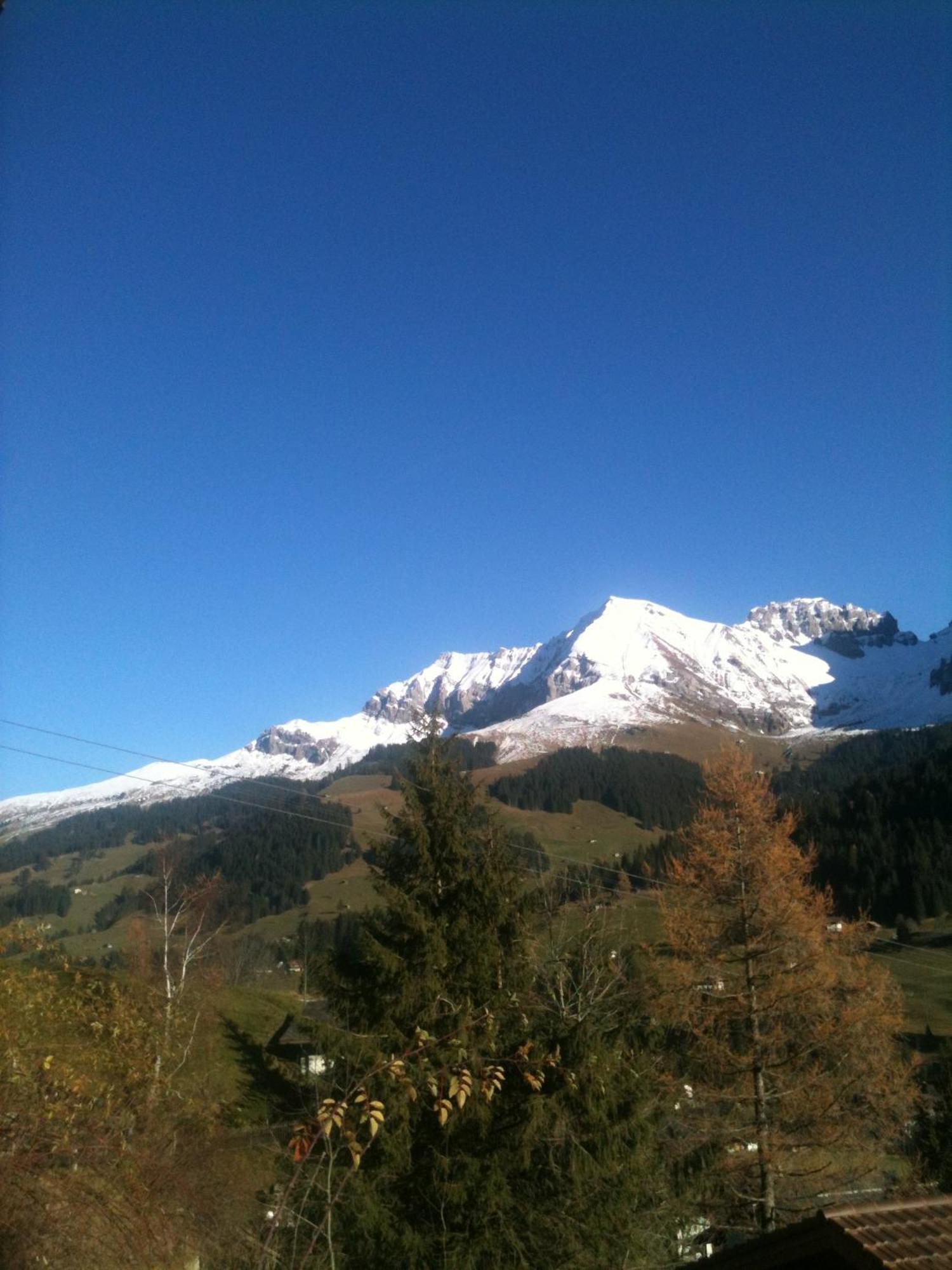 Oeystrasse 10A Apartment Adelboden Exterior foto